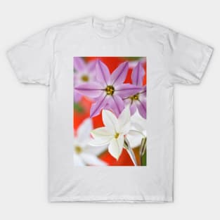 Ipheion  Two colours  Spring starflower T-Shirt